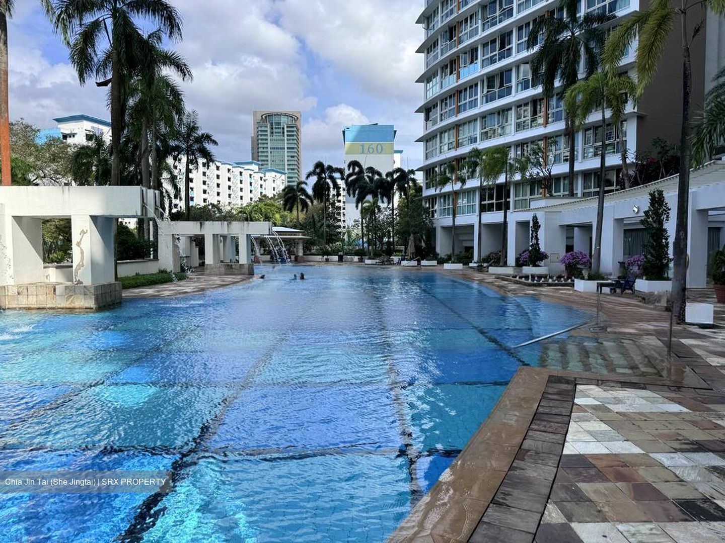 Trellis Towers (D12), Condominium #458569651